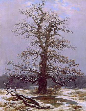 Caspar David Friedrich Eiche im Schnee